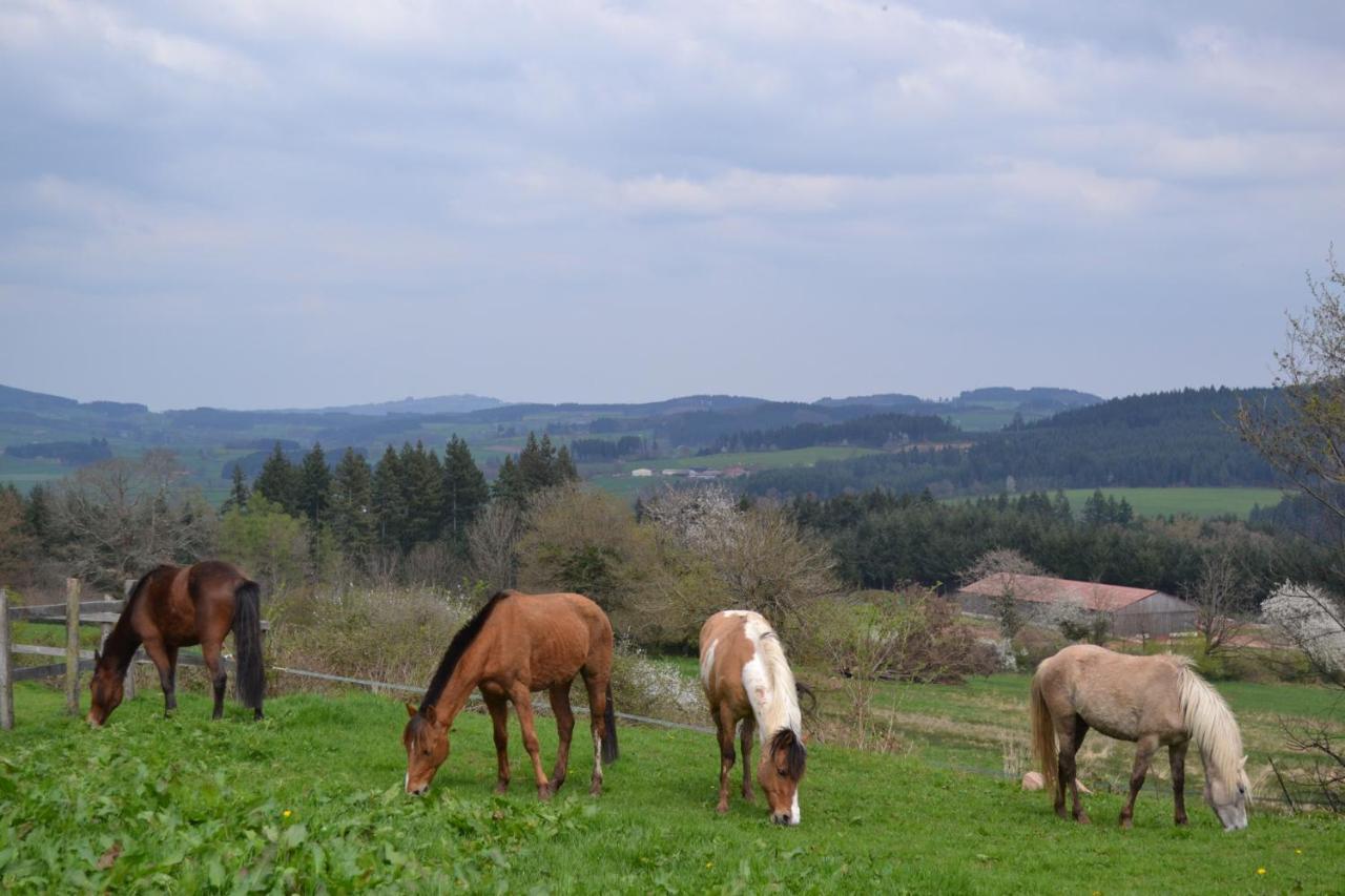 Les Perruchons Ancienne Grange Renovee Avec Soin Villa Ozolles Dış mekan fotoğraf