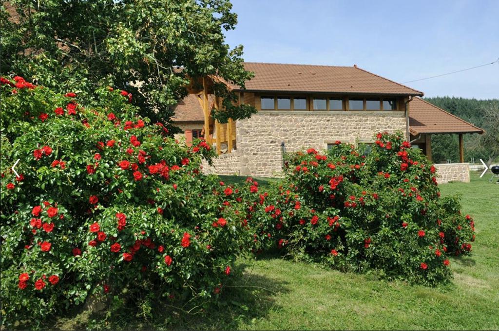 Les Perruchons Ancienne Grange Renovee Avec Soin Villa Ozolles Oda fotoğraf